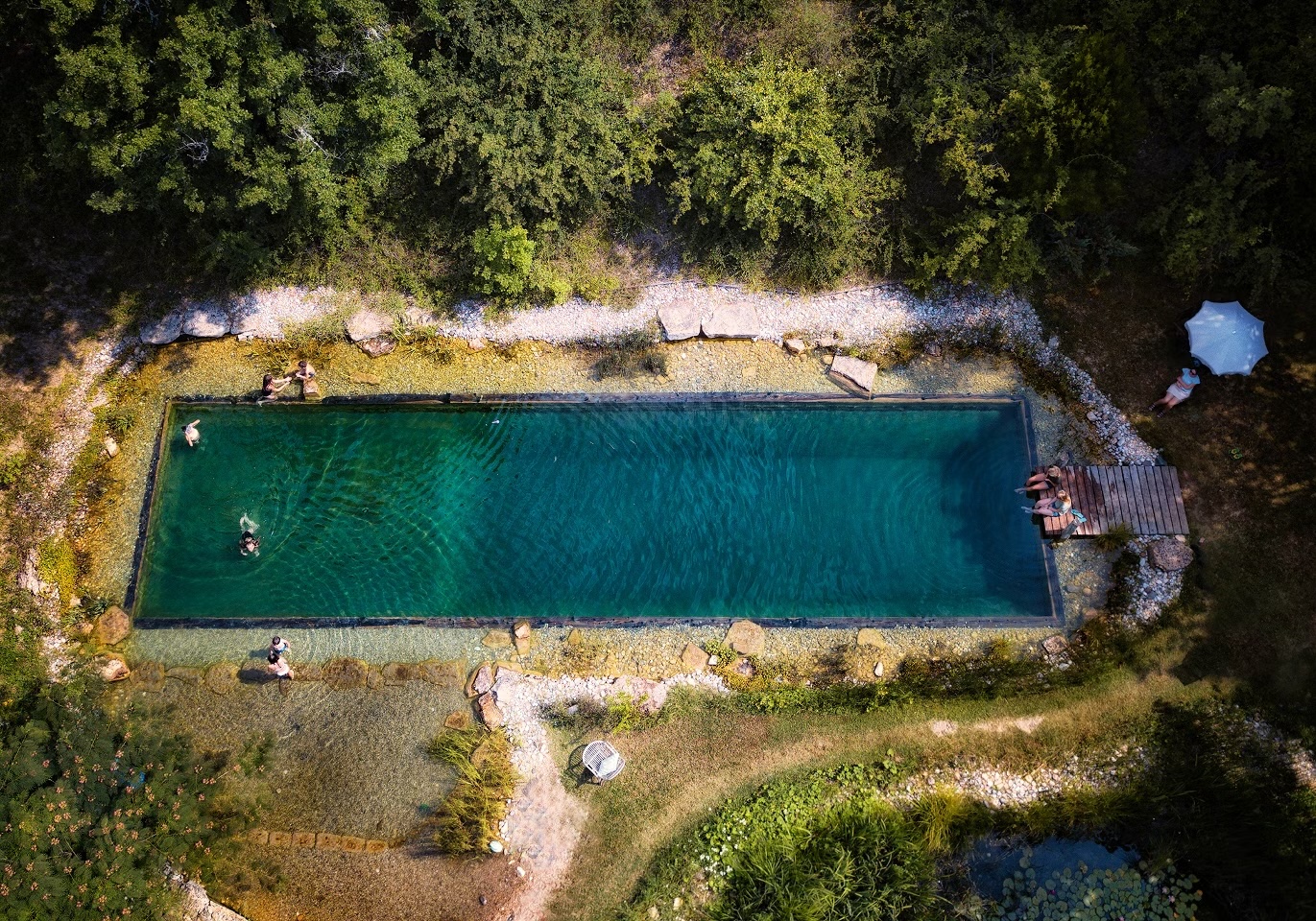 Une piscine naturelle, écologique