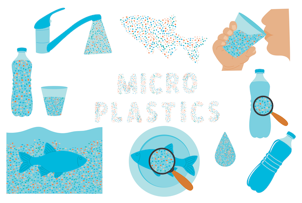Le danger des emballages en plastique (PET, Bisphénol...)