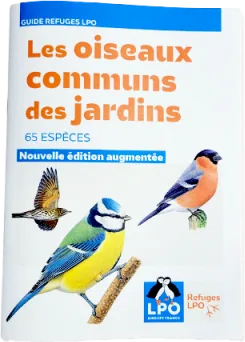 Couverture : Les oiseaux communs des jardins