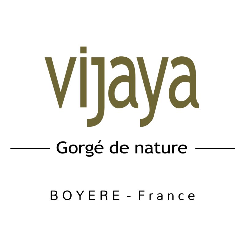 SAS Boyere - Vijaya