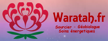 Lerôy Anthôny - Waratah