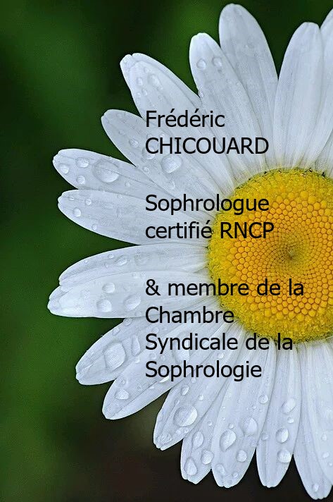 Chicouard Frederic