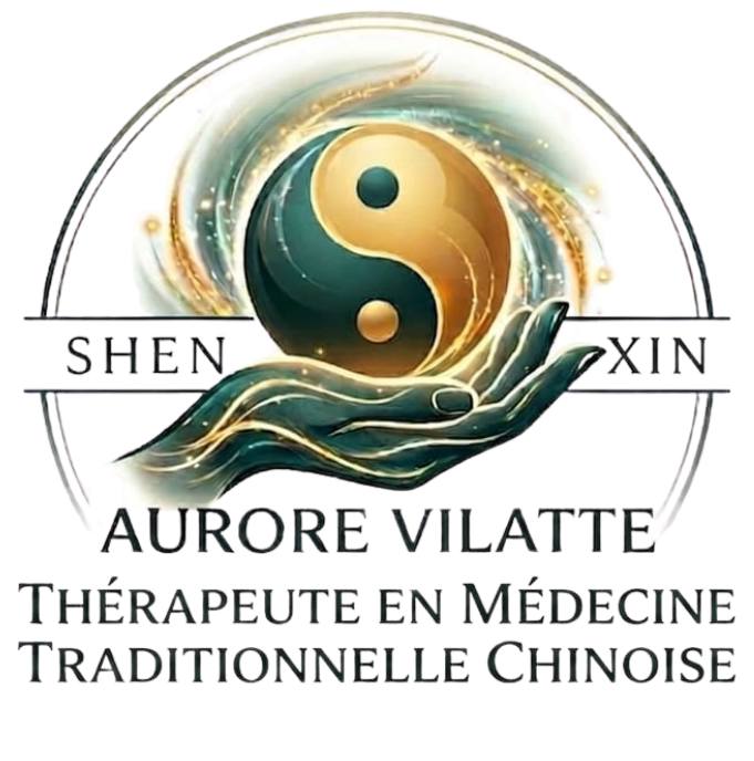 Cabinet Shen Xin Par Aurore Vilatte