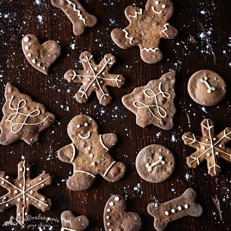 Biscuits Pain d'épices Noël