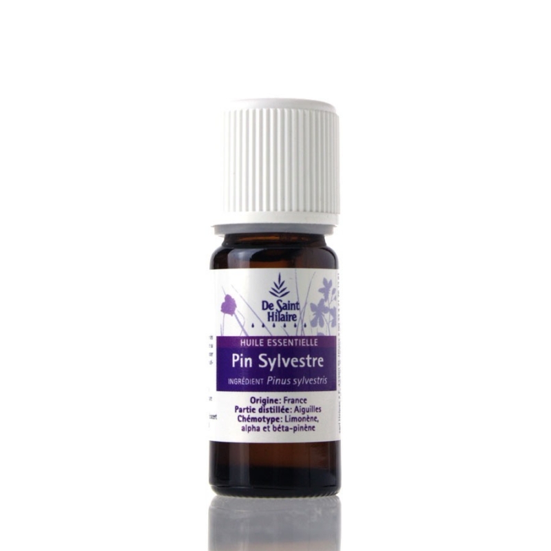 PIN SYLVESTRE