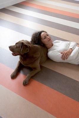 Linoleum naturel marmoleum-click