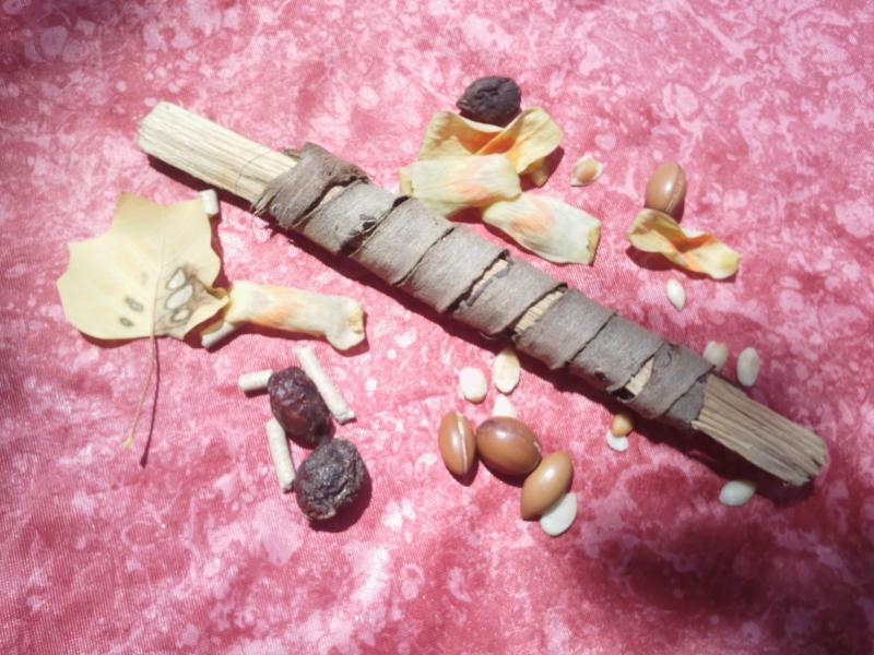 Miswak