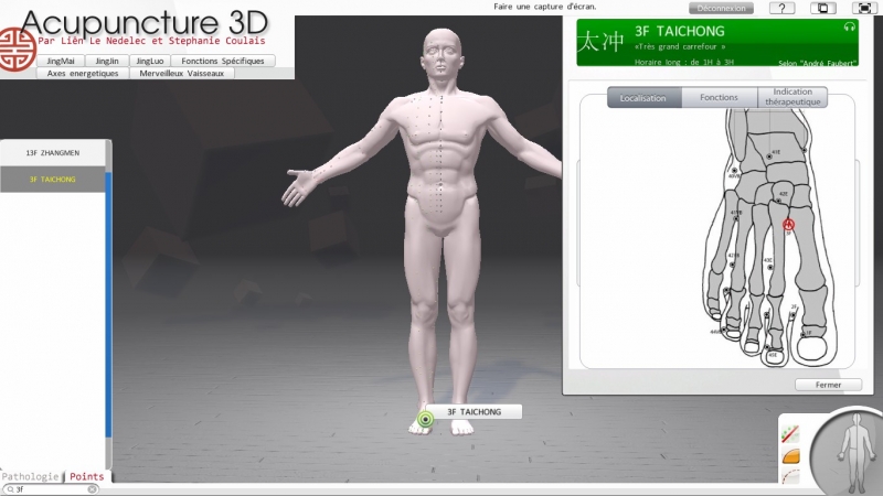 Logiciel Acupuncture 3D