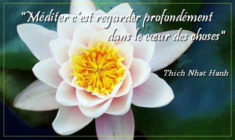 Journée de pleine conscience-mindfulness
