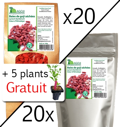 Goji naturel Ningxia Himalaya 10kg + 5 plants de Goji GRATUIT