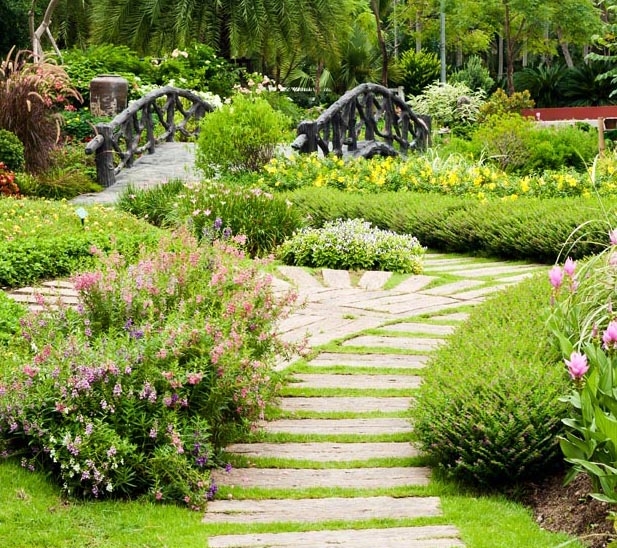 Guide express Feng Shui de votre jardin