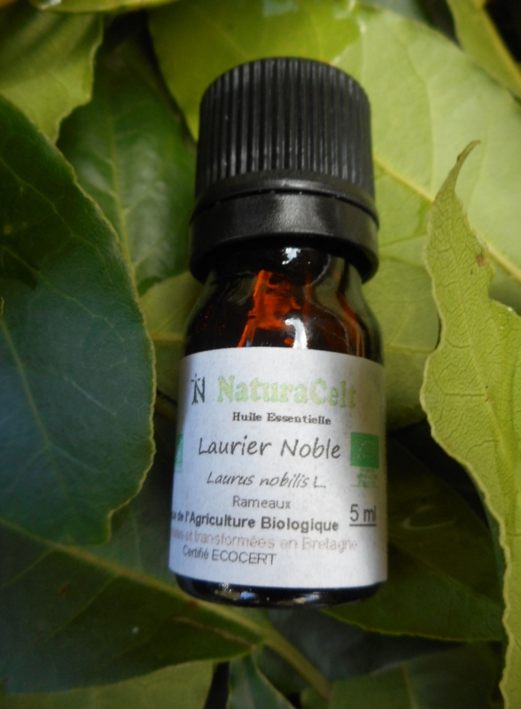 Huile Essentielle de Laurier Noble 5ml