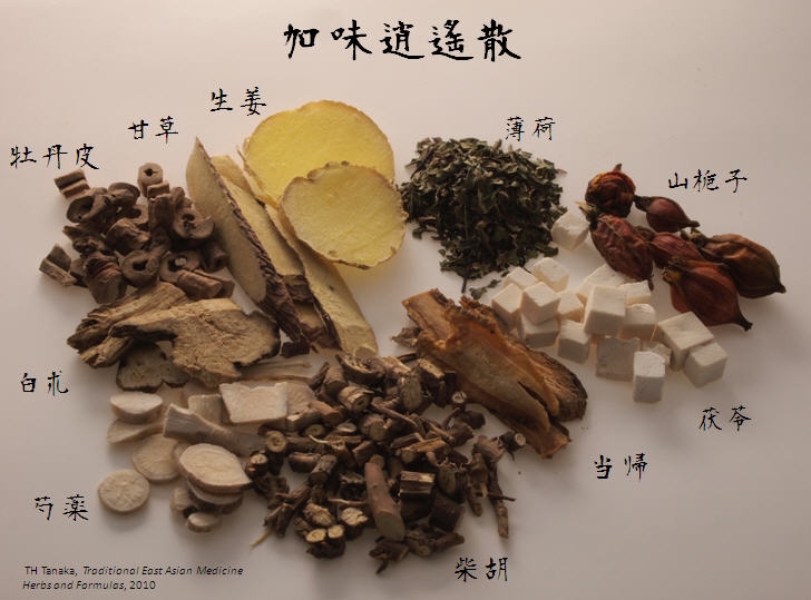 Formation en Médecine chinoise