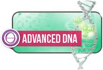 Formation ThetaHealing® ADN Avancé