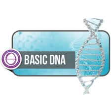 Formation ThetaHealing® ADN Base
