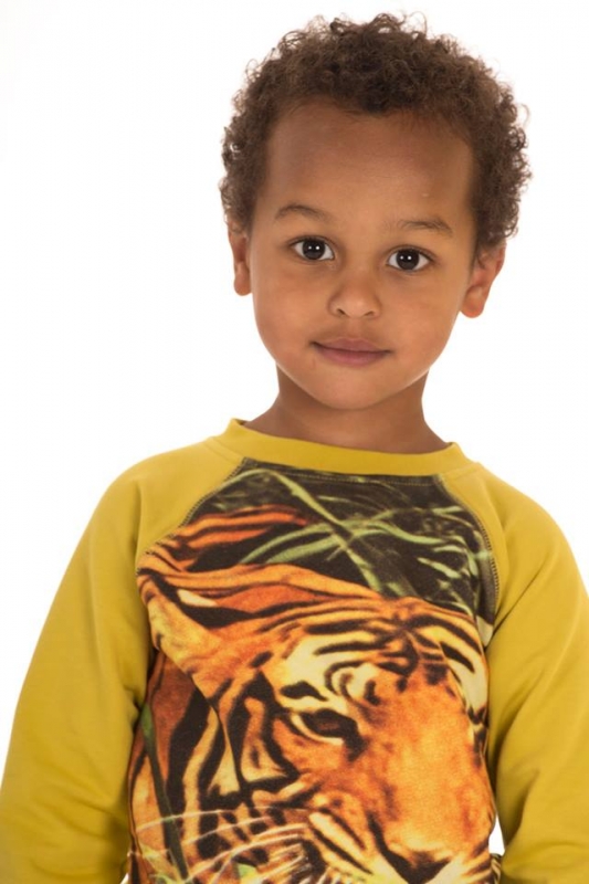 Pull Tigre, 2 ans