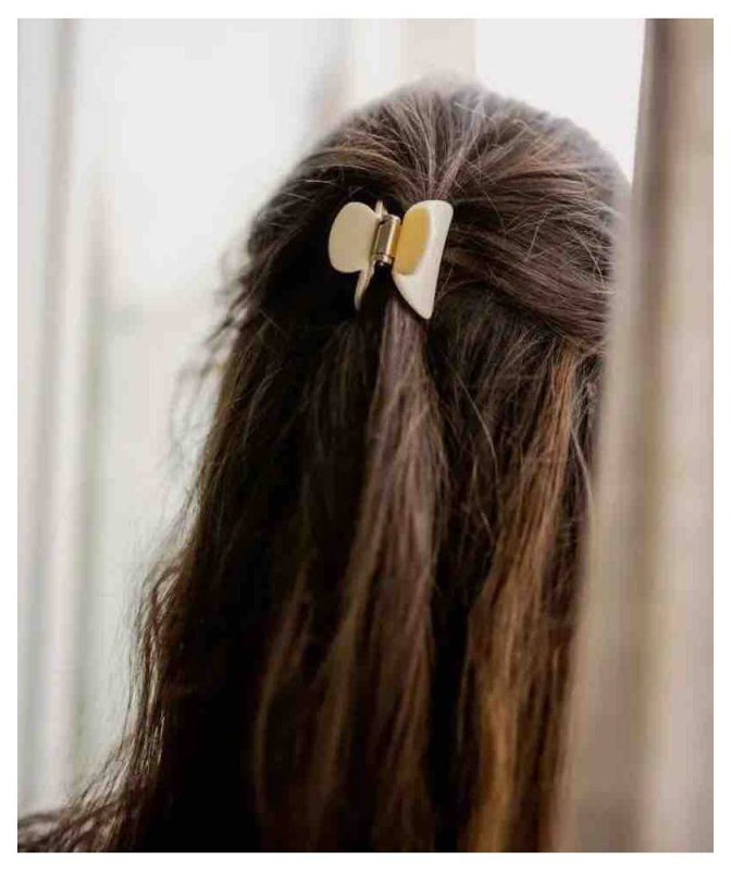 Pince à Cheveux - Petit modèle