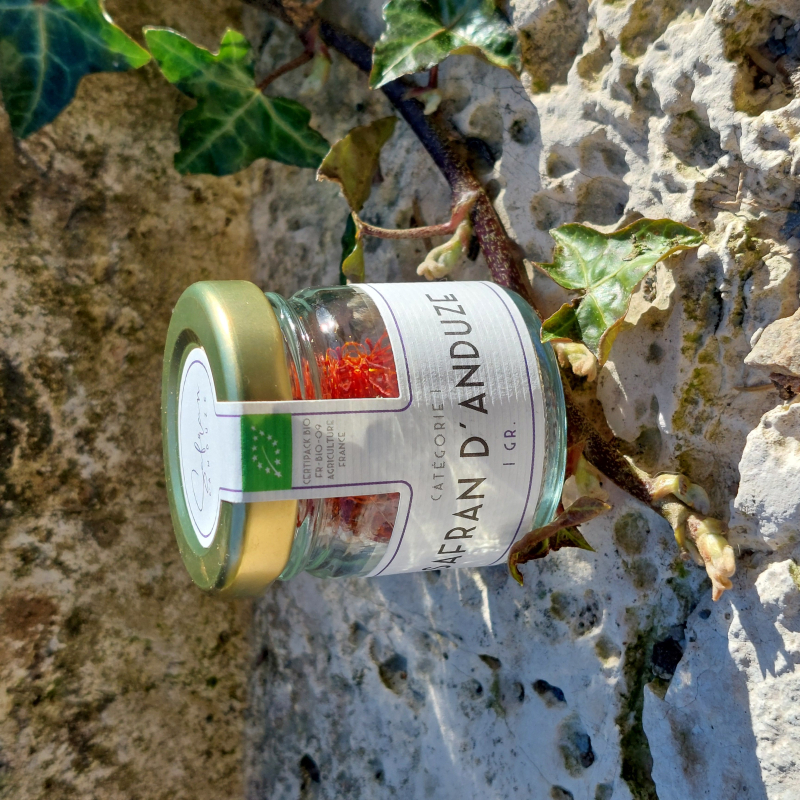 Safran bio artisanal français - Direct producteur